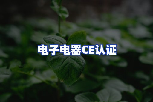 电子电器CE认证